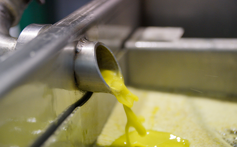 proceso elaboracion aceite oliva